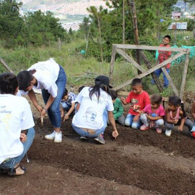 Festival de la no violencia tejido pacifico
